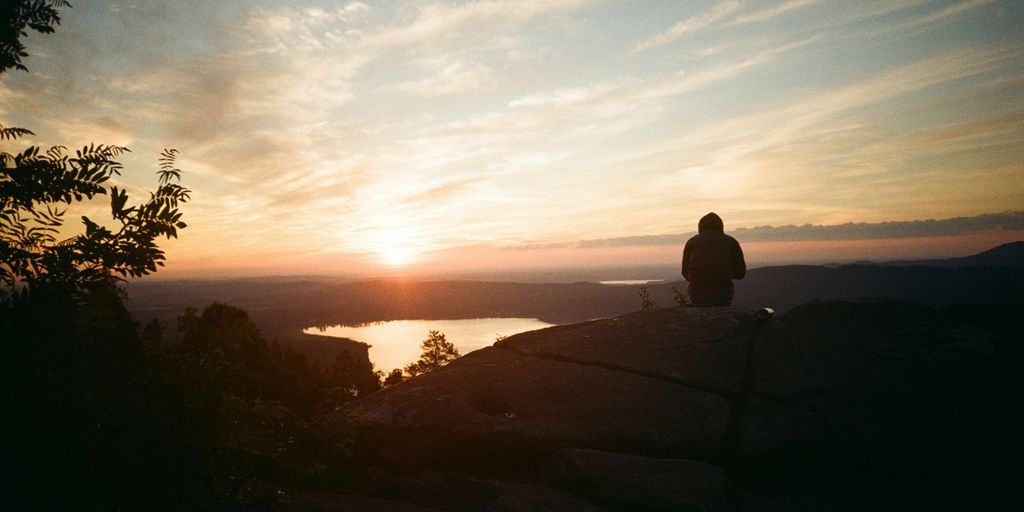 a person sitting on top of a rock next to a tree