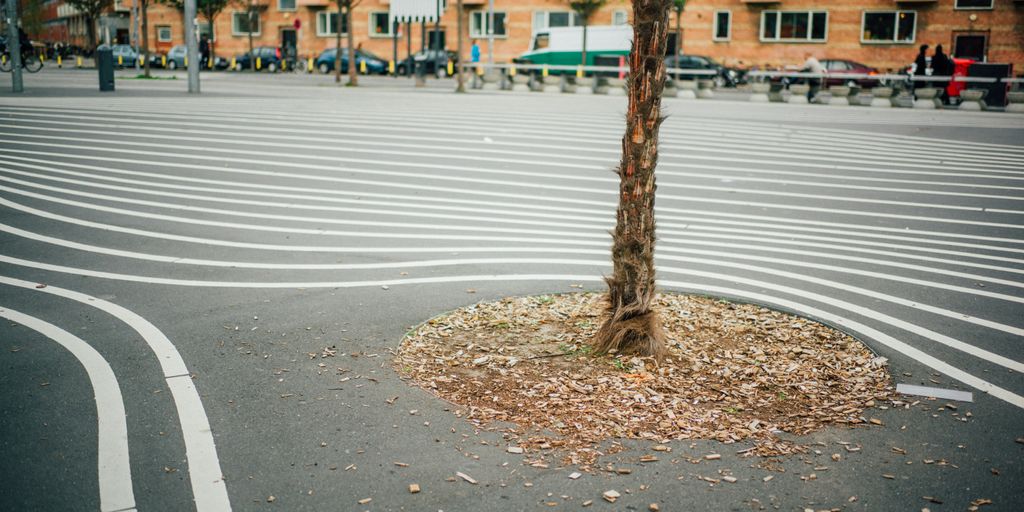 brown tree trunk on gray concrete road