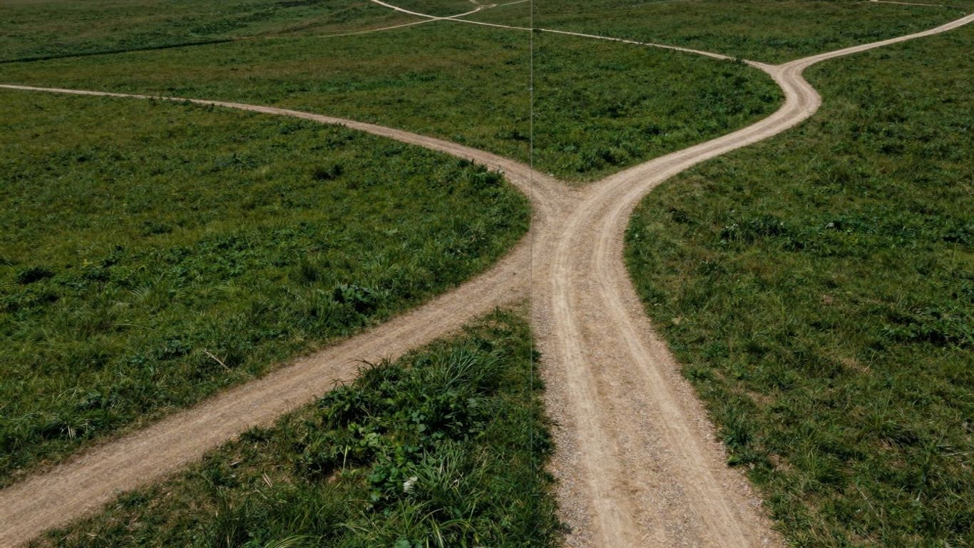 Open landscape with diverging paths and a single defined path.